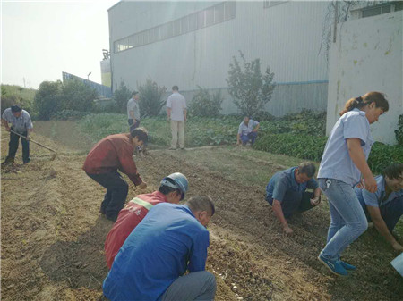 鋼模板廠家的小菜園大變樣